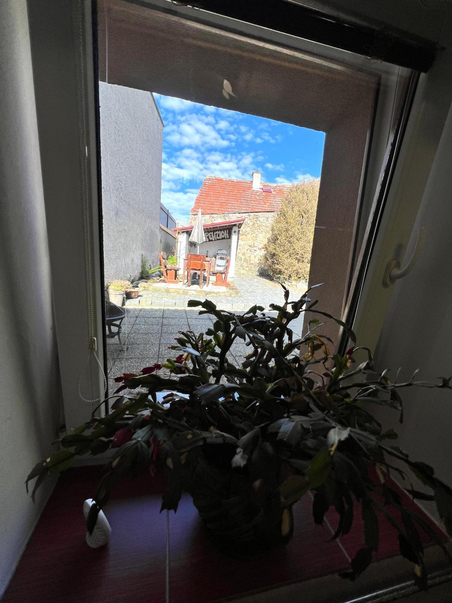 Penzion Na Ruzku Selčan Exterior foto